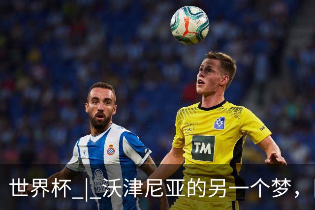 世界杯 | 沃津尼亚的另一个梦，圆了